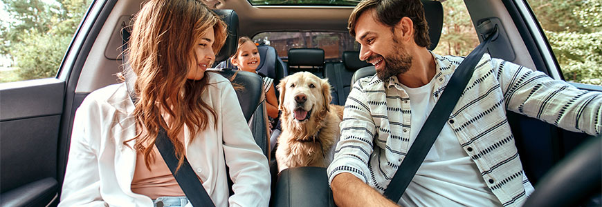 Autoowners with auto insurance coverage