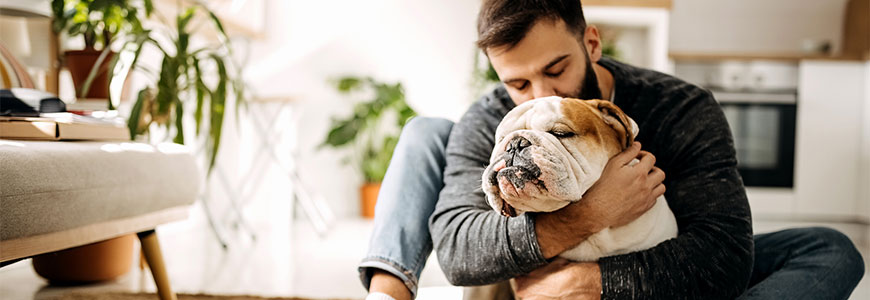 Pet Insurance coverage